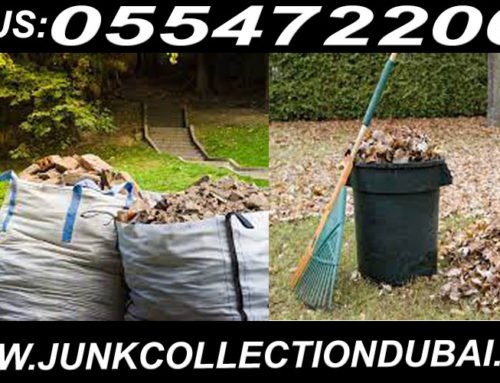 Garden Clearance in Dubai